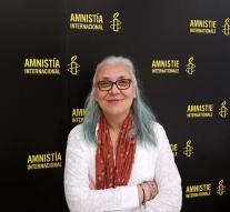 Press Turkey in Amnesty Director