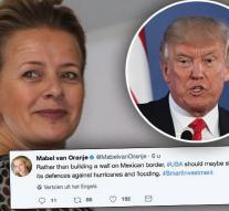 Princess Mabel takes out Twitter on Trump