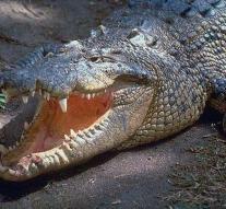 Remains 8-year-old boy found in crocodile