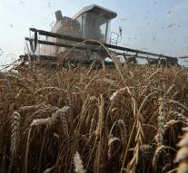 Russia helps Syria with 100,000 tonnes of wheat
