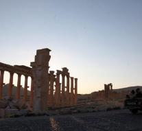 Russian sappers arrived in Palmyra