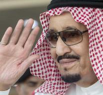 Saudis get drone down in the neighborhood palace
