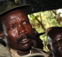 Search for Kony is scaled