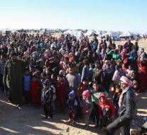 Senate against stricter control Syrians