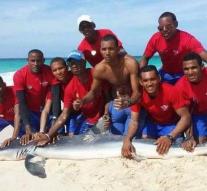 Shark out of water dragged for photographs; animal dies