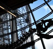 Skeleton Eiffel Tower-dino sold
