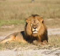 Son of Cecil the Lion also shot dead