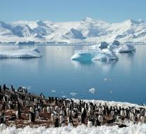 South Pole glacier is a risk of sea level