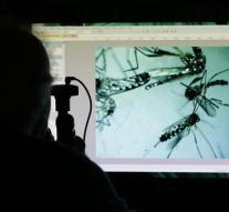 Spain reports zika infection through sex