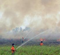State of emergency in part Sumatra fires
