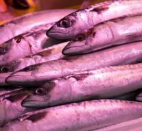 Store sticks fake eyes on fish so that offer seems fresher