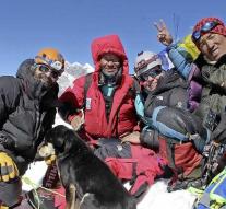 Stray dog ​​conquers top Himalayas
