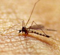 Super Parasite threatens malaria fight
