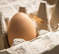 Supermarkets also get eggs in Belgium