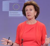 Tang asks EU ombudswoman for affair Kroes