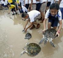 Thousand turtles for Thai king
