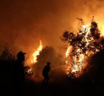 Thousands of Greeks on the run for forest fire