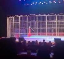 Tiger attacks trainer during circus show