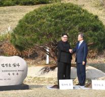 Tree! Korea's leaders plant pine