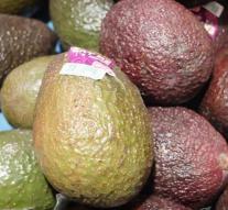 Trend: catching avocados in self-scan as 'roots'