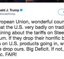 Trump is cutting to EU about steel