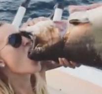 Truth or dare: woman drinks beer from dead fish