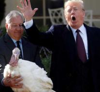 Turkey after pardoning president usually quickly dead
