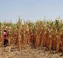 UN: famine threatens Central America