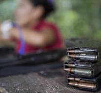 UN: FARC is fully disarmed