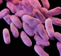 US infected with resistant 'nightmare bacteria'