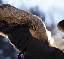 US officers suspended after death ground marmot