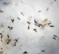 Utah deceased patient infected with zika