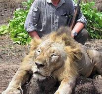Veterinarian fired after dead lion