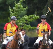 William and Harry too horse for charity