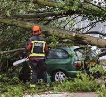 Woman dead by tree on car in Belgium