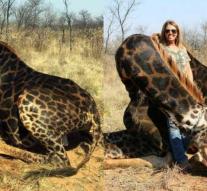 Woman shoots rare giraffe: 'Wow, 900 kilos of meat!'