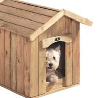Woman throws as ex-lover in doghouse