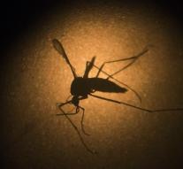 Zikavirus strikes in Africa