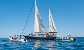 Activist Crisis in Crete as Israeli Forces Interfere with Sumud Fleet