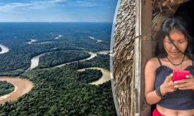 Amazon Indigenous Tribe Sues Over Allegations of Porn Addiction Due to Internet Access
