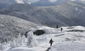 American Hikers under Influence of Magic Mushrooms Call Emergency Services for Nonexistent Fatality