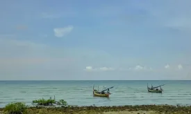 Ancient Skull Remains Found Off Indonesian Coast Shed Light on Human Ancestors