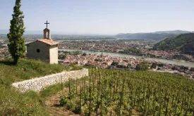 Belgian Woman Missing for 14 Years Found in France: Admits to Past Mistake