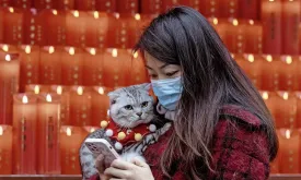 Chinese Pets Pampered with Luxurious Meals and Spa Treatments at the Beginning of the Year of the Snake