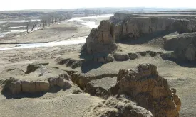 Chinese Scientists Discover Fossils of a Possible New Human Species