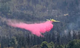 EU to Assist Israel in Combating 'Devastating Fires' Between Jerusalem and Tel Aviv