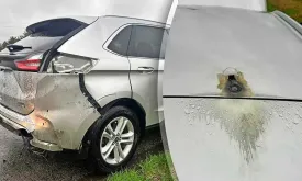 Family Escapes Lightning Strike on Car