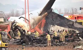 First Report on Crashed Korean Plane: Feathers and Blood Found