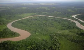 Five Survive 36 Hours in Crocodile-Infested Marsh After Plane Crash in Bolivia