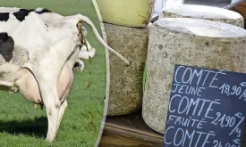 French Environmental Activists Target Comté Cheese with Support from Facebook Pioneer